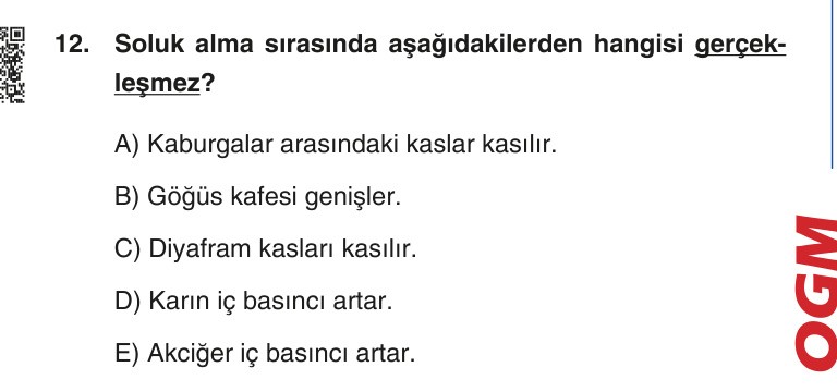 Gerçek Sınav Sorusu