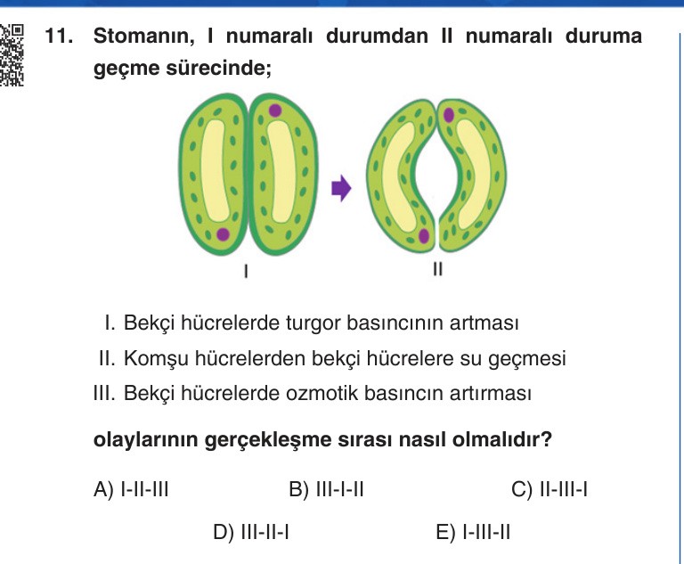 Gerçek Sınav Sorusu