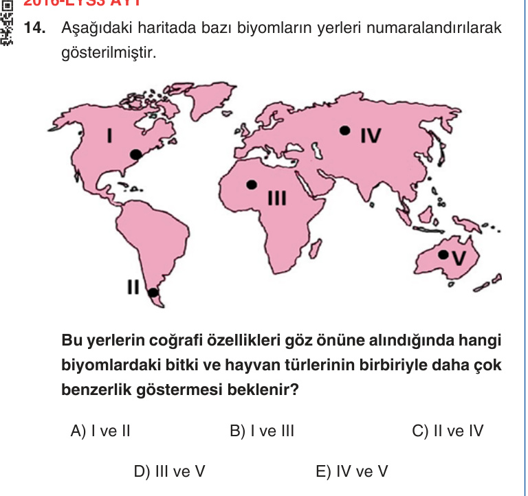 Gerçek Sınav Sorusu