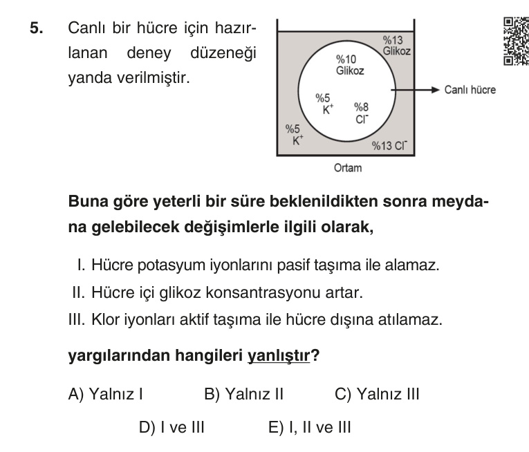 Gerçek Sınav Sorusu
