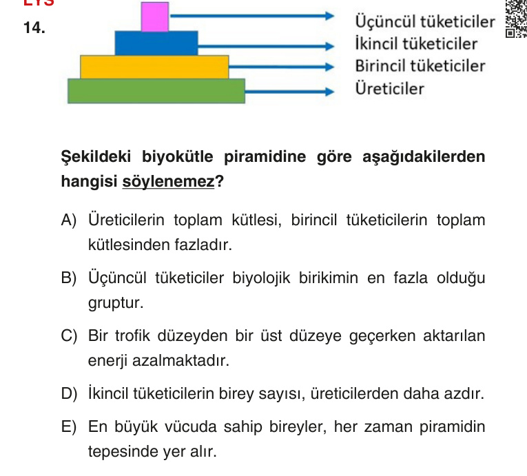 Gerçek Sınav Sorusu
