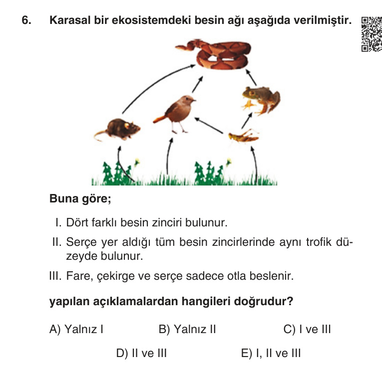 Gerçek Sınav Sorusu