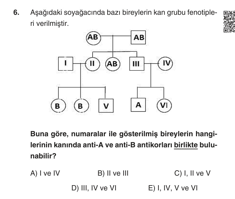 Gerçek Sınav Sorusu