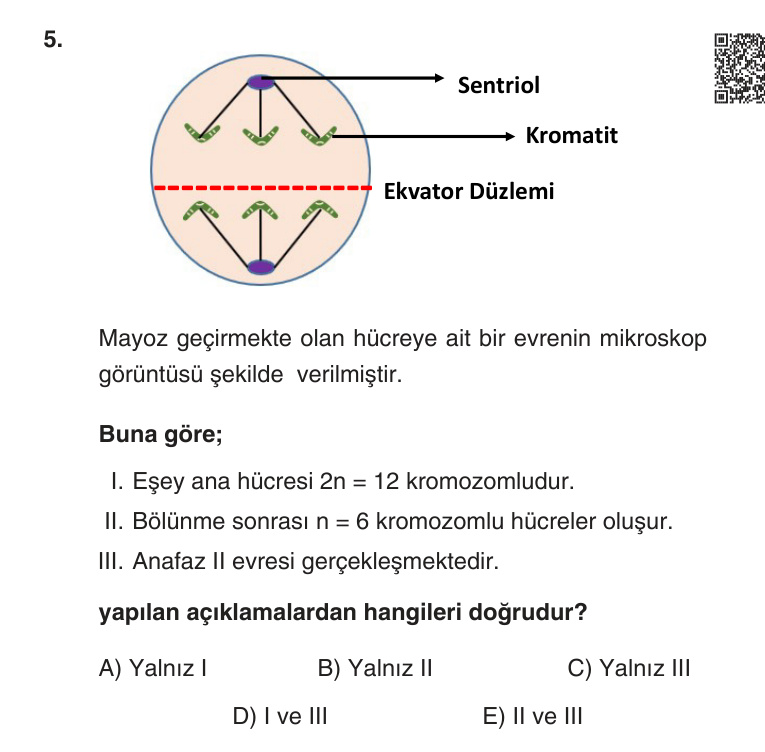 Gerçek Sınav Sorusu