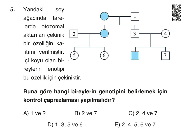 Gerçek Sınav Sorusu