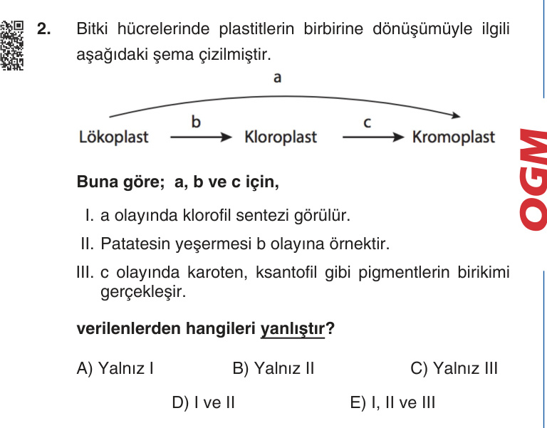 Gerçek Sınav Sorusu