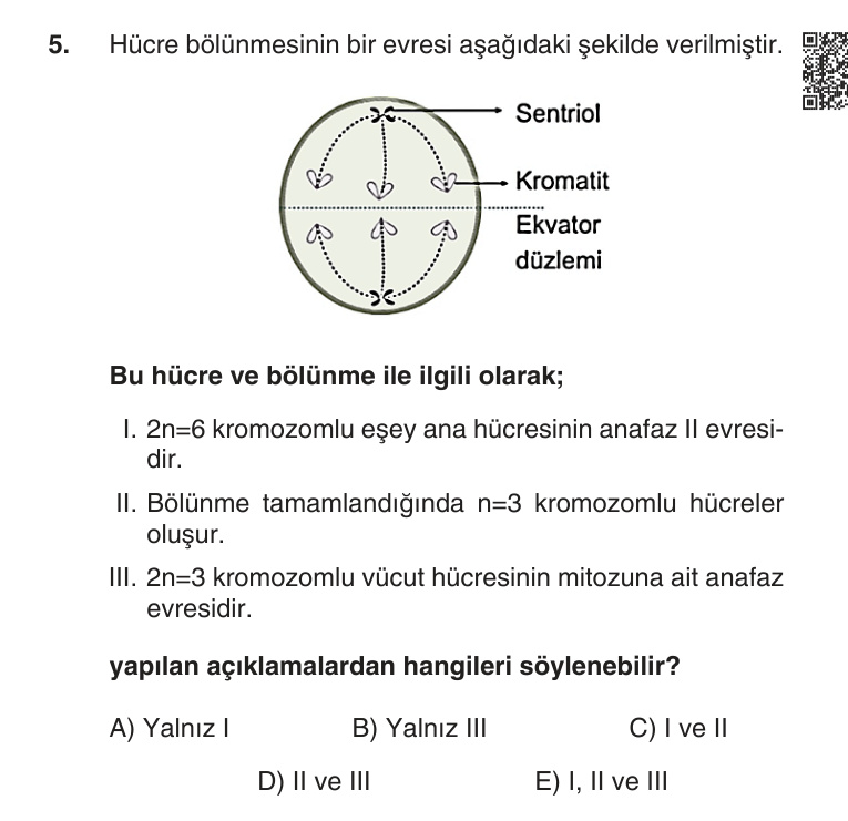 Gerçek Sınav Sorusu