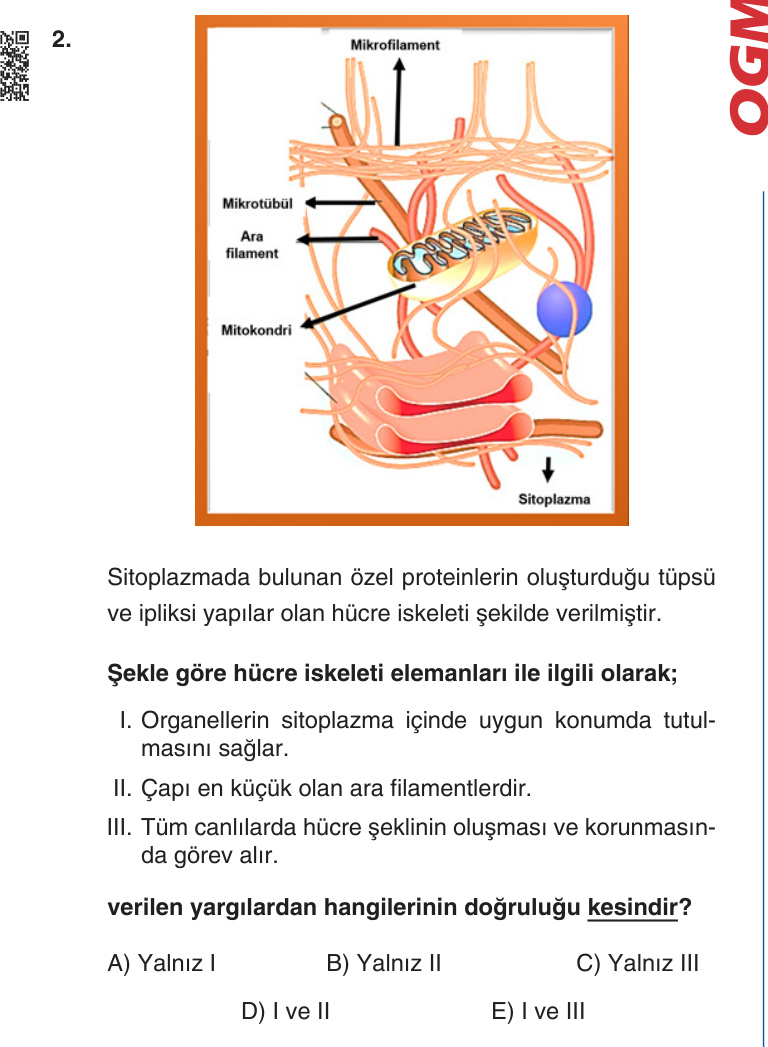 Gerçek Sınav Sorusu