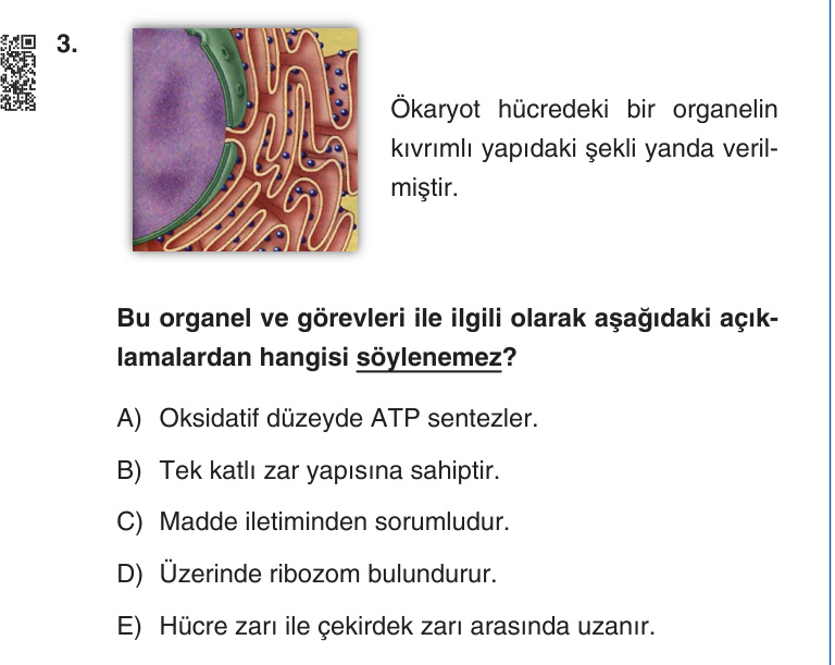 Gerçek Sınav Sorusu