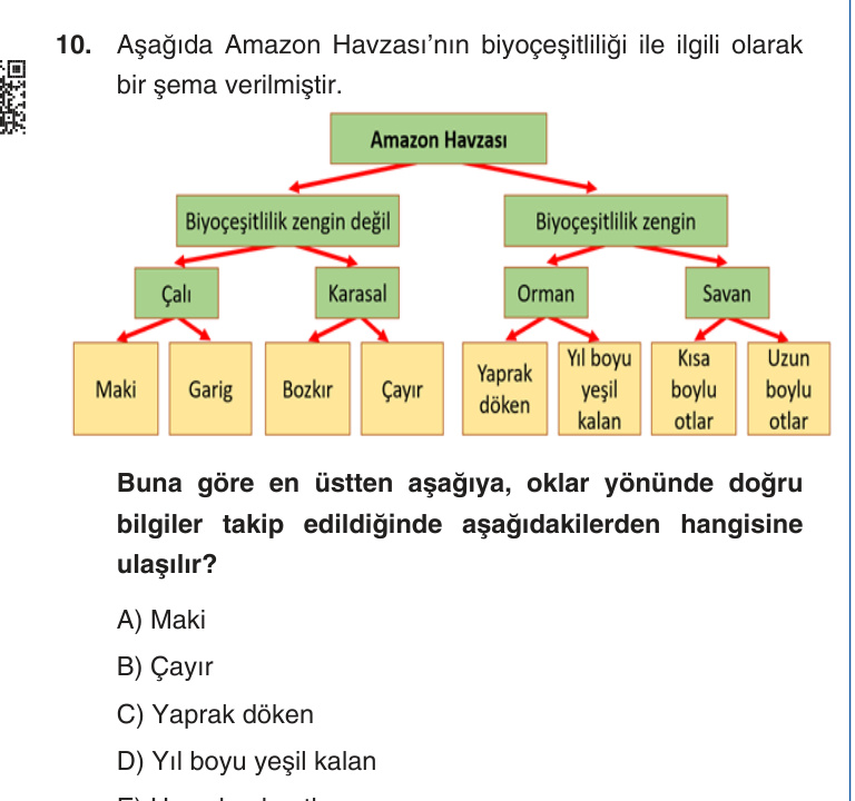 Gerçek Sınav Sorusu