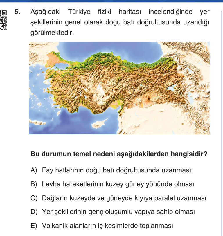 Gerçek Sınav Sorusu