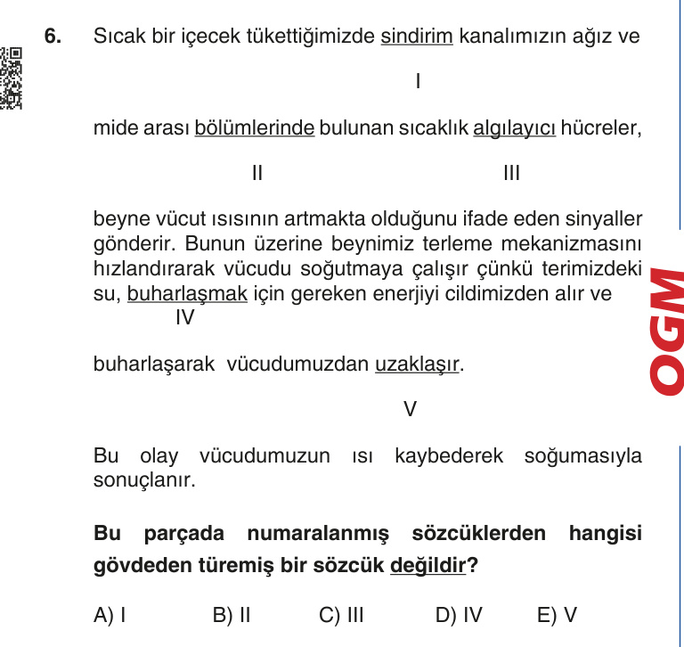 Gerçek Sınav Sorusu